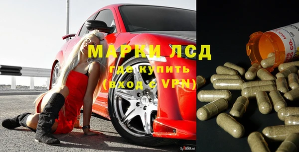 apvp Алзамай
