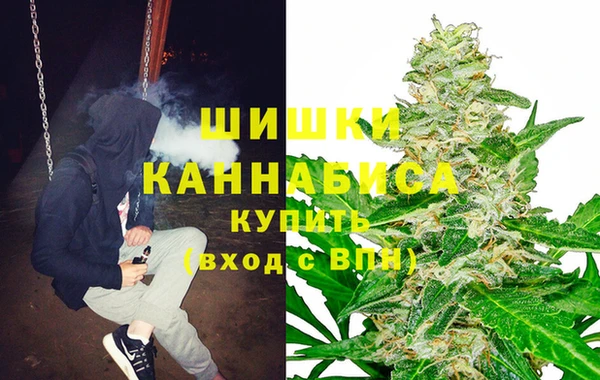 стаф Абаза