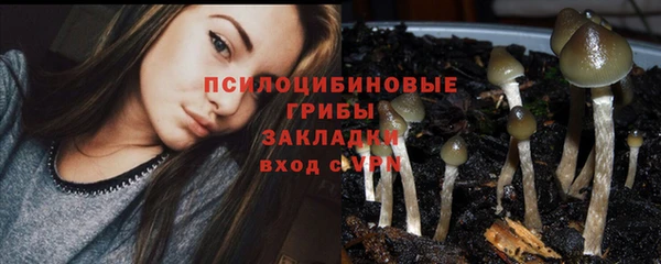 стаф Абаза