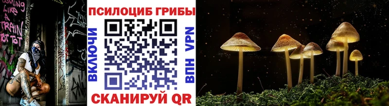 купить наркотик  Весьегонск  Псилоцибиновые грибы прущие грибы 